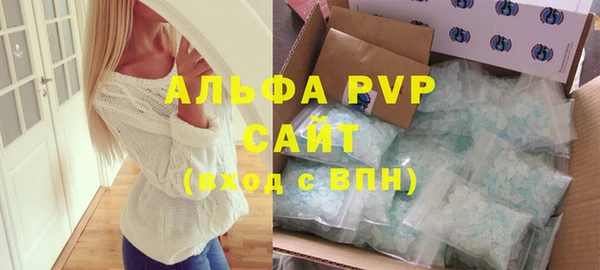 прущие крисы Горняк