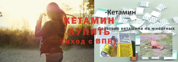 прущие крисы Горняк