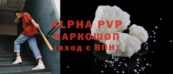 прущие крисы Горняк