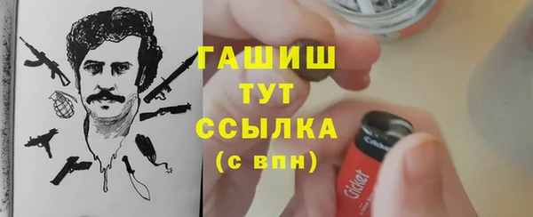 прущие крисы Горняк