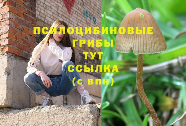 круглые Горно-Алтайск