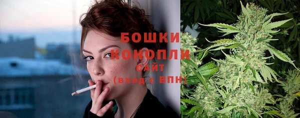 прущие крисы Горняк