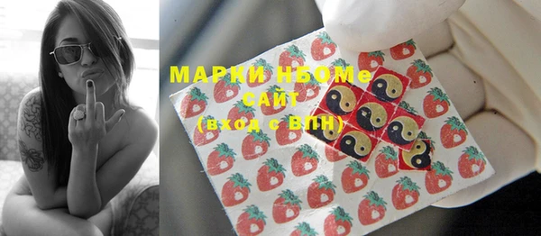 прущие крисы Горняк