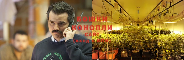 прущие крисы Горняк