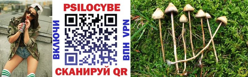 Галлюциногенные грибы прущие грибы  Купить  Курчатов 